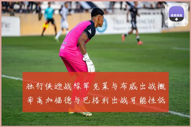 独行侠迎战绿军克莱与布威出战概率高加福德与巴格利出战可能性低