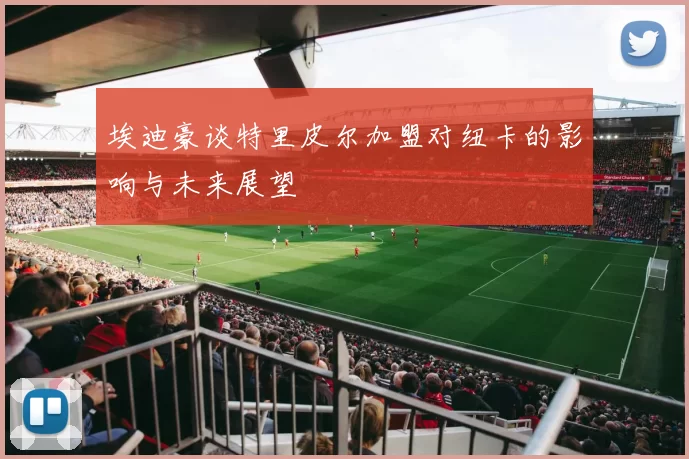 埃迪豪谈特里皮尔加盟对纽卡的影响与未来展望